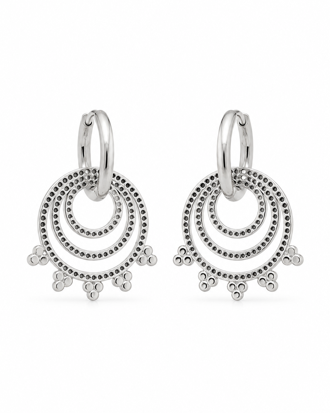 Stainless Steel Oorbellen