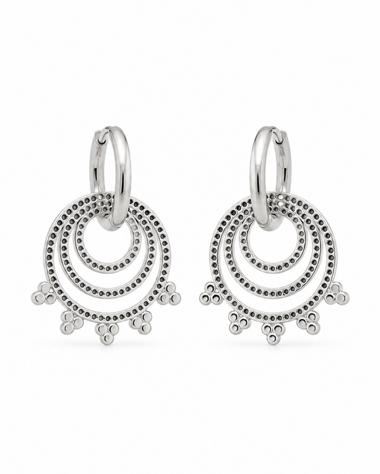 Stainless Steel Oorbellen
