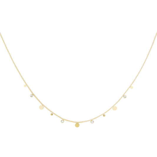 Ketting Coins - Stainless Steel
