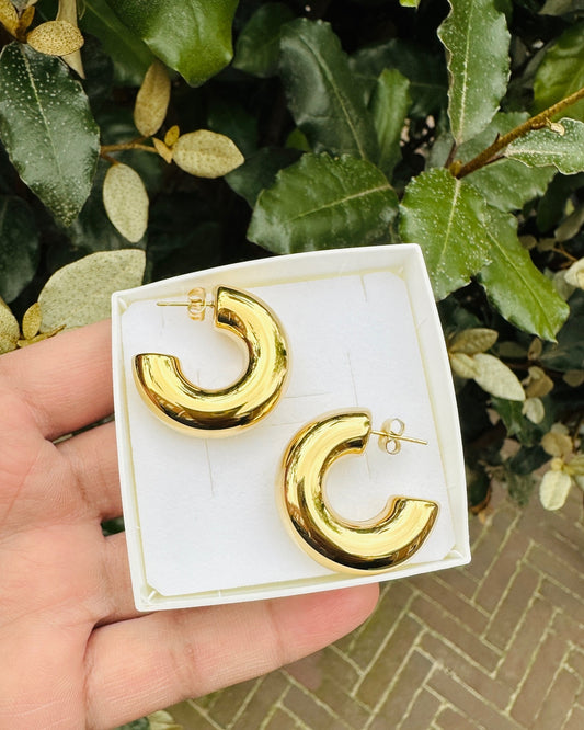 Statement Earrings - Stainless Steel